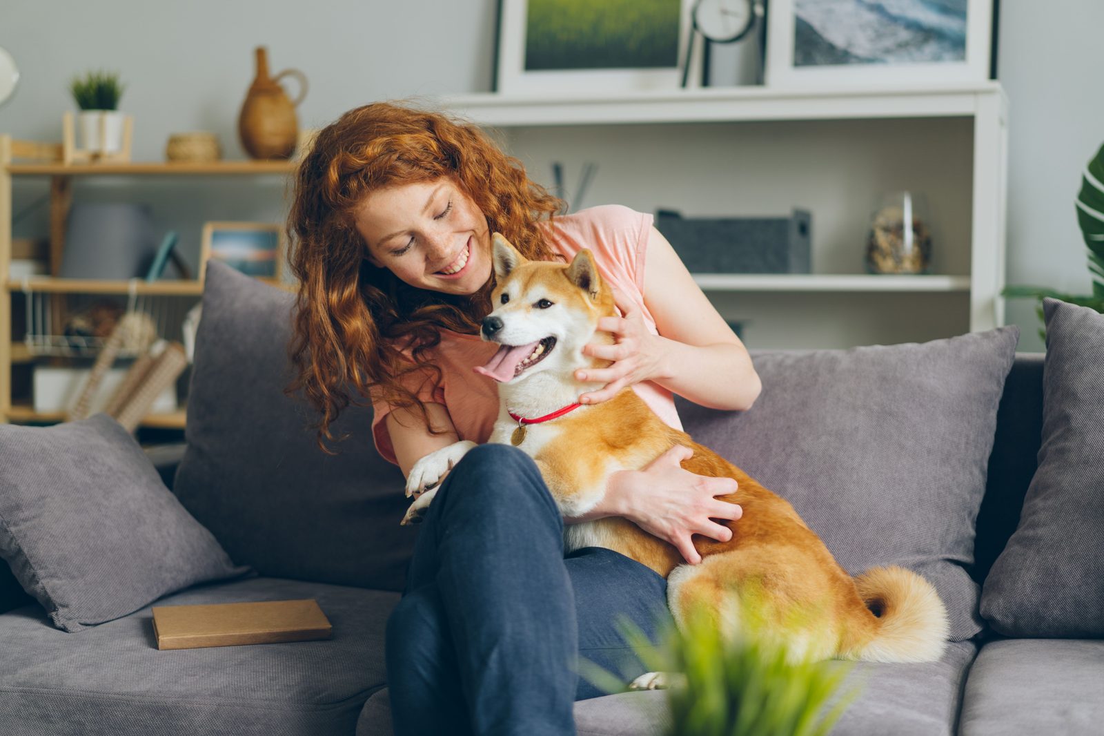 Un momento tranquillo con il cane di casa